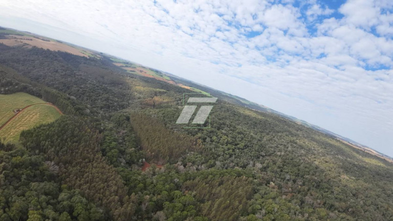 Fazenda à Venda,  em Zona Rural - Ibema