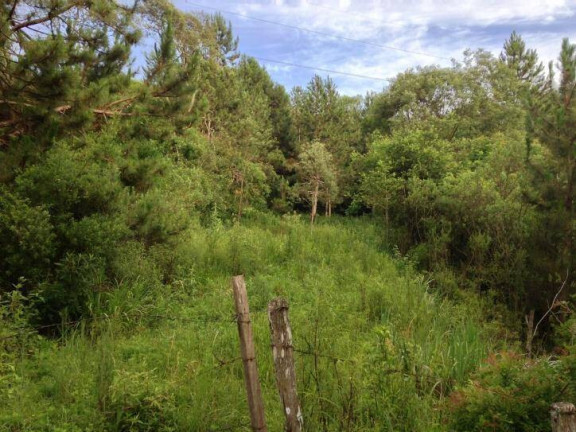 Imagem Terreno à Venda, 80 m² em Santa Felicidade - Curitiba Imagem Terreno à Venda, 80 m² em Santa Felicidade - Curitiba