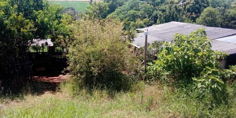 Imagem Imóvel com 2 Quartos à Venda, 23.000 m² em Centro - Ibirubá
