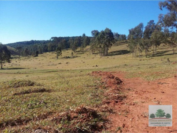 Imagem Fazenda à Venda, 2.000 m² em Centro - Campanha Imagem Fazenda à Venda, 2.000 m² em Centro - Campanha