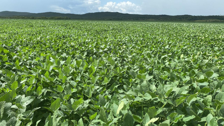 Imagem Fazenda à Venda, 963 m² em Rural - Rosário Oeste Imagem Fazenda à Venda, 963 m² em Rural - Rosário Oeste