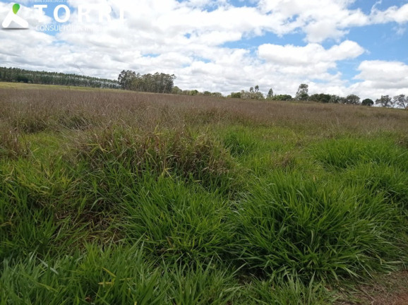 Imagem Imóvel com 1 Quarto à Venda, 1.137.400 m² em Centro - Paranapanema