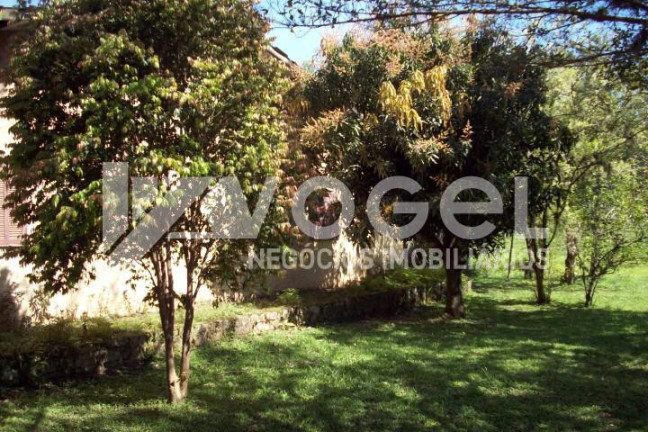 Imagem Imóvel à Venda, 5.000 m² em Três Pinheiros (distrito) - Itati Imagem Imóvel à Venda, 5.000 m² em Três Pinheiros (distrito) - Itati