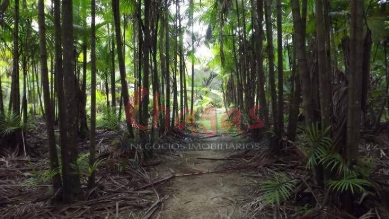Imagem Terreno à Venda, 39.000 m² em Massaguaçu - Caraguatatuba