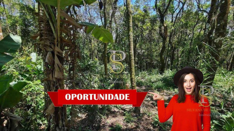 Terreno à Venda, 1.000 m² em Mato Dentro - Mairiporã