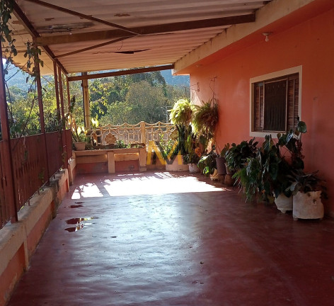 Imagem Imóvel com 4 Quartos à Venda, 8.000 m² em Pirucaia - Mairiporã