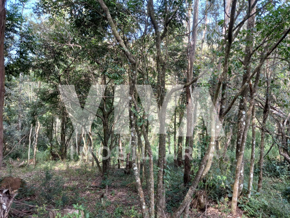 Imagem Terreno à Venda,  em Extrema - Extrema