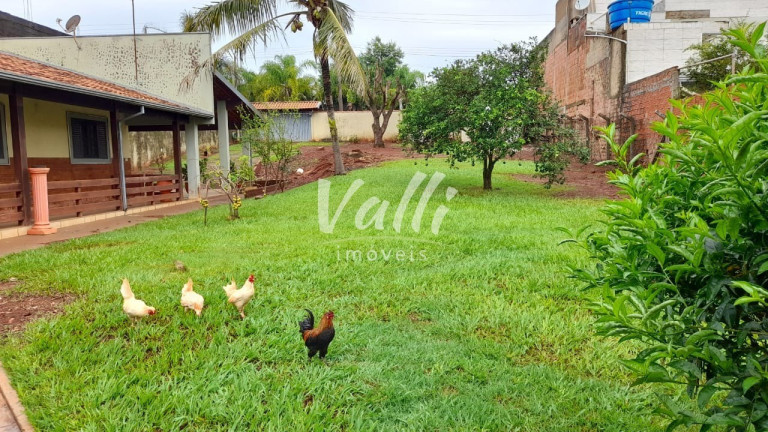 Imagem Imóvel com 4 Quartos à Venda, 1.000 m² em Vale Das Paineiras - Americana Imagem Imóvel com 4 Quartos à Venda, 1.000 m² em Vale Das Paineiras - Americana