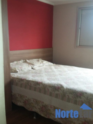 Imagem Apartamento com 3 Quartos à Venda, 64 m² em Vila Nova Cachoeirinha - São Paulo