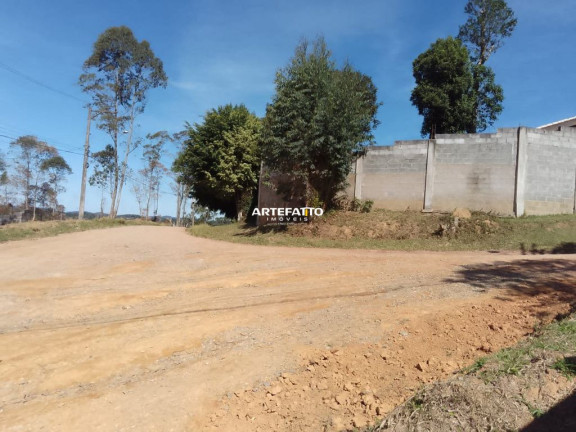 Imagem Imóvel com 4 Quartos à Venda, 2.000 m² em Caputera - Cotia