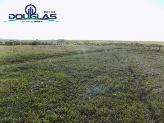 Imagem Chácara à Venda, 8 m² em águas Claras - Viamão Imagem Chácara à Venda, 8 m² em águas Claras - Viamão