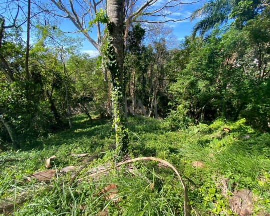Imagem Terreno à Venda, 775 m² em Córrego Grande - Florianópolis Imagem Terreno à Venda, 775 m² em Córrego Grande - Florianópolis