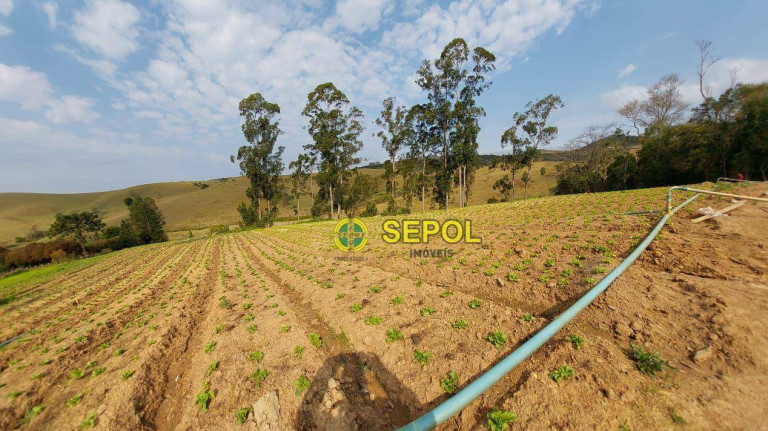 Imagem Terreno à Venda, 19.000 m² em Jardim Do Pinhal - Pinhalzinho Imagem Terreno à Venda, 19.000 m² em Jardim Do Pinhal - Pinhalzinho