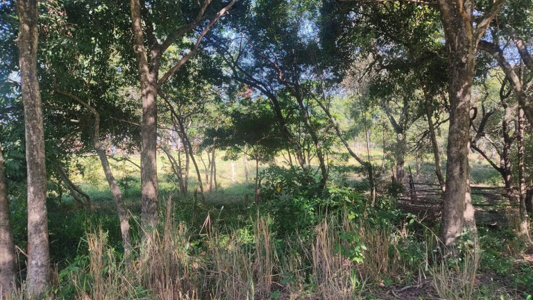 Imagem Chácara à Venda, 35 m² em édem - Sorocaba Imagem Chácara à Venda, 35 m² em édem - Sorocaba