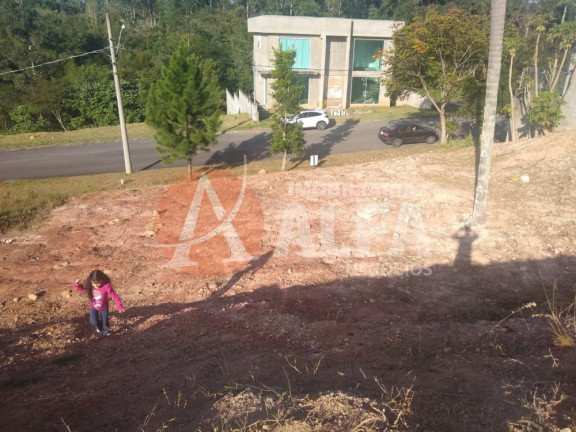 Imagem Terreno à Venda, 534 m² em Portal Do Santa Paula - Cotia