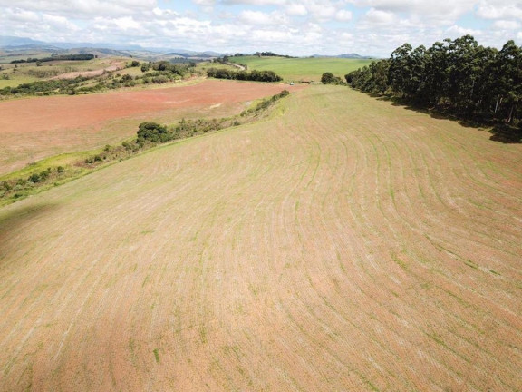Imagem Fazenda à Venda, 120 m² em Zona Rural - Cruzília Imagem Fazenda à Venda, 120 m² em Zona Rural - Cruzília