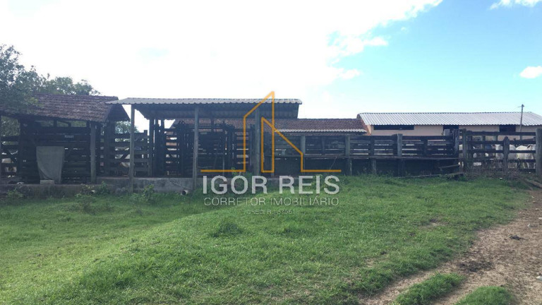 Imagem Fazenda à Venda, 244 m² em Araruama Imagem Fazenda à Venda, 244 m² em Araruama