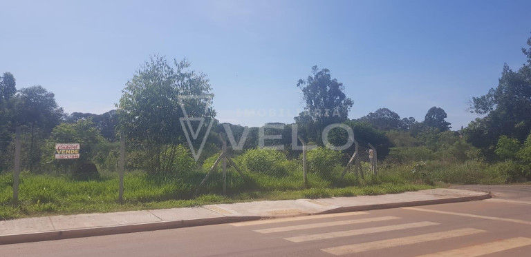 Imagem Terreno à Venda, 740 m² em Estância Conceição - Itapetininga Imagem Terreno à Venda, 740 m² em Estância Conceição - Itapetininga