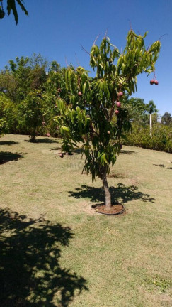 Imagem Casa com 3 Quartos à Venda, 1.200 m² em Outeiro Das Flores-cond. Fechado - Itupeva Imagem Casa com 3 Quartos à Venda, 1.200 m² em Outeiro Das Flores-cond. Fechado - Itupeva