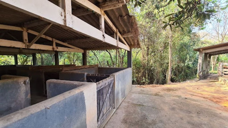 Imagem Imóvel à Venda, 11.000 m² em Tanque - Atibaia
