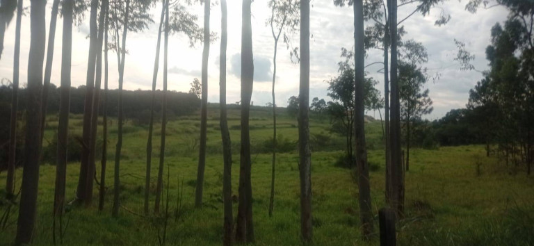 Imagem Terreno à Venda, 70.000 m² em Residencial água Doce - Jundiaí