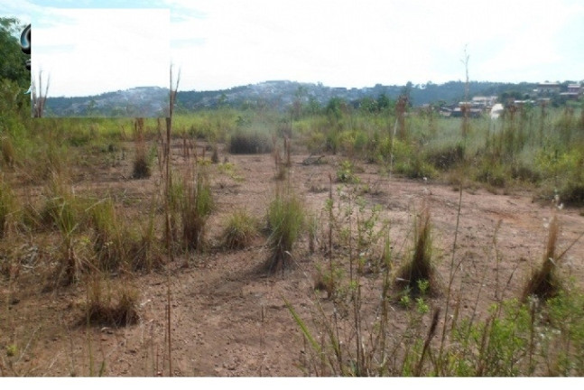Imagem Terreno à Venda, 10.400 m² em Acesso Para Carretas - Mairiporã Imagem Terreno à Venda, 10.400 m² em Acesso Para Carretas - Mairiporã