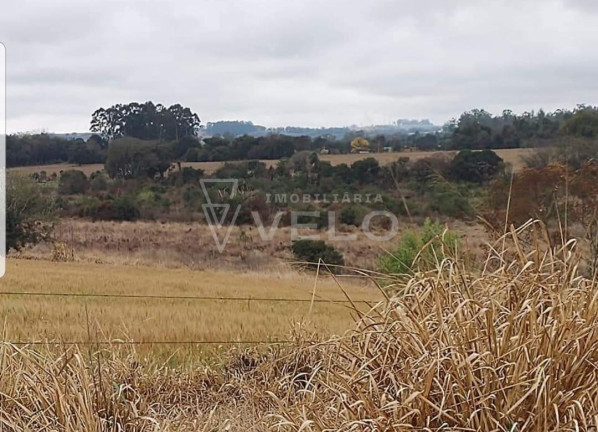 Imagem Imóvel com 3 Quartos à Venda, 290.400 m² em Campina Do Monte Alegre - Campina Do Monte Ale Imagem Imóvel com 3 Quartos à Venda, 290.400 m² em Campina Do Monte Alegre - Campina Do Monte Ale