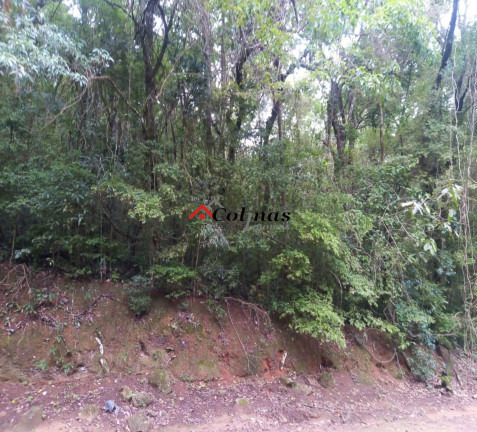 Imagem Terreno à Venda, em Depois Do Centro - Ibiúna Imagem Terreno à Venda, em Depois Do Centro - Ibiúna