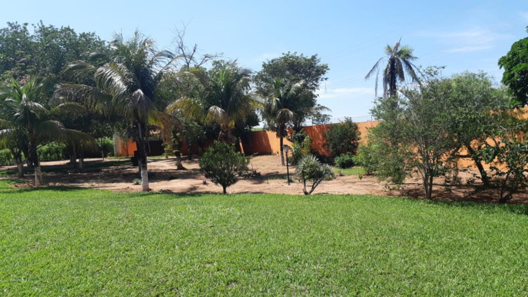 Imagem Chácara com 2 Quartos à Venda, 20.000 m² em Centro - Getulina Imagem Chácara com 2 Quartos à Venda, 20.000 m² em Centro - Getulina