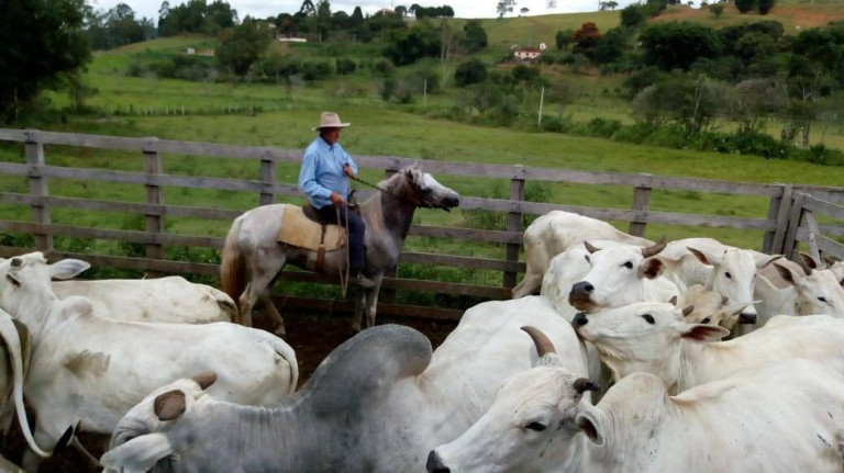Imagem Chácara com 3 Quartos à Venda, 532 m² em Zona Rural - Cambuí