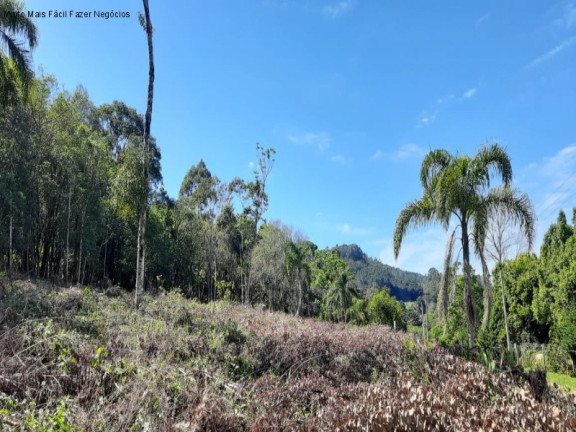 Imagem Terreno à Venda, 687 m² em Piá - Nova Petrópolis