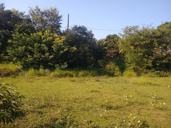 Imagem Imóvel à Venda, 874 m² em Palmeiras - Guaraparia Imagem Imóvel à Venda, 874 m² em Palmeiras - Guaraparia
