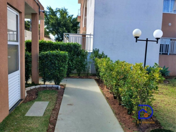 Imagem Apartamento com 2 Quartos à Venda, 48 m² em Jardim Matarazzo - São Paulo Imagem Apartamento com 2 Quartos à Venda, 48 m² em Jardim Matarazzo - São Paulo
