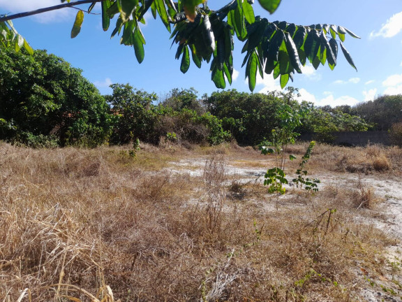 Imagem Terreno à Venda, em Centro - Tibau Do Sul Imagem Terreno à Venda, em Centro - Tibau Do Sul
