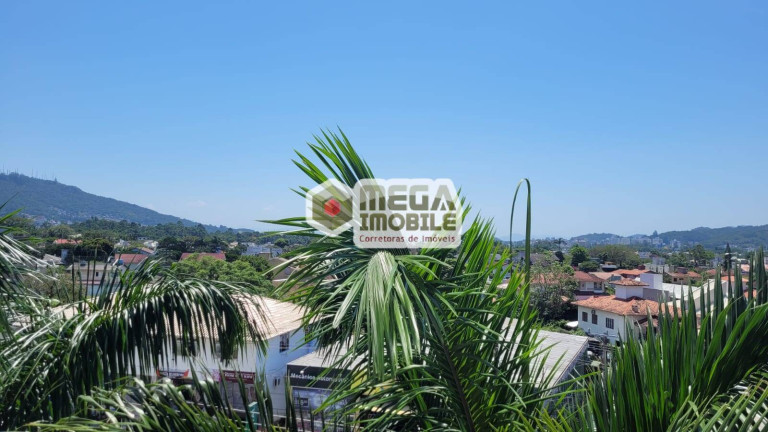Imagem Apartamento com 3 Quartos à Venda, 90 m² em Córrego Grande - Florianópolis Imagem Apartamento com 3 Quartos à Venda, 90 m² em Córrego Grande - Florianópolis