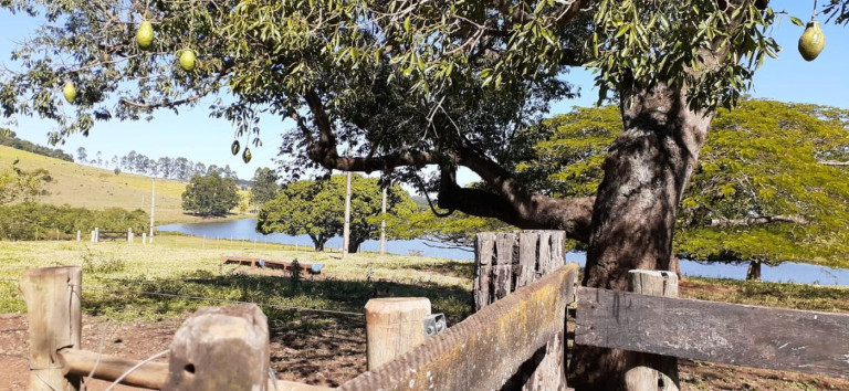 Imagem Fazenda à Venda, 158 m² em Rural - Avaré Imagem Fazenda à Venda, 158 m² em Rural - Avaré