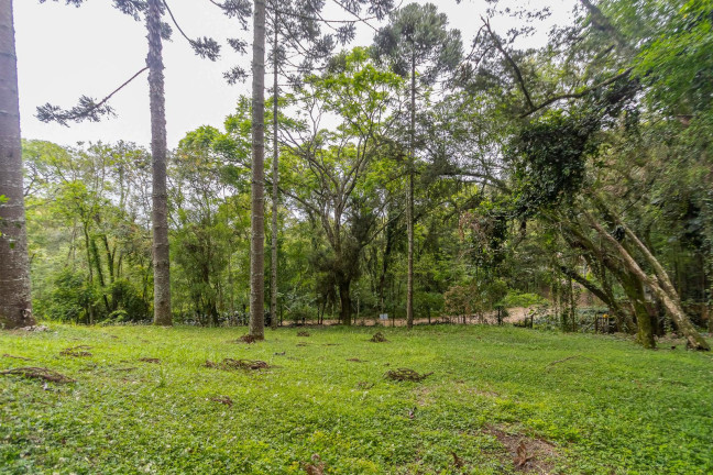 Terreno à Venda, 745 m² em Santa Felicidade - Curitiba