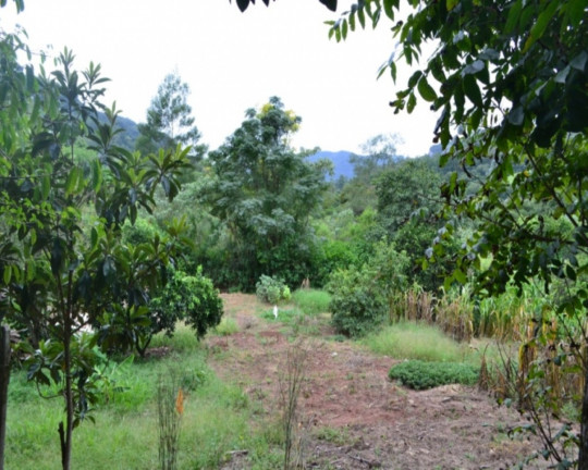 Imagem Imóvel à Venda, 714 m² em Joaneta - Picada Café