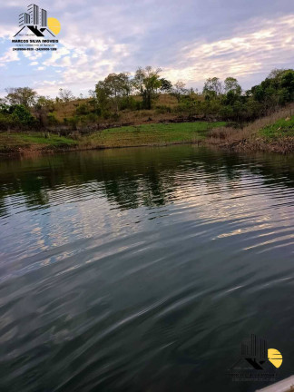 Imagem Chácara com 1 Quarto à Venda, 3.000 m² em Uberlândia