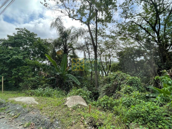 Imagem Terreno à Venda, 1.573 m² em Araça - Porto Belo Imagem Terreno à Venda, 1.573 m² em Araça - Porto Belo