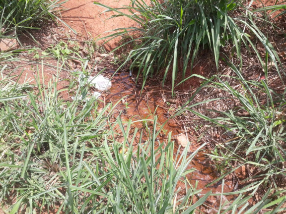 Imagem Terreno à Venda, 240 m² em Santa Terezinha De Minas - Itatiaiuçu Imagem Terreno à Venda, 240 m² em Santa Terezinha De Minas - Itatiaiuçu