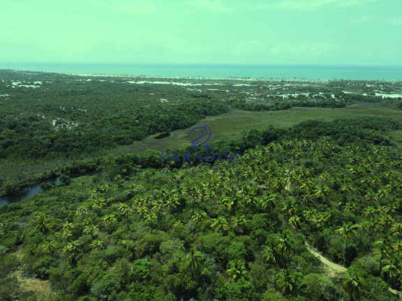 Imagem Terreno à Venda, 6.000 m² em Diogo - Mata De São João Imagem Terreno à Venda, 6.000 m² em Diogo - Mata De São João
