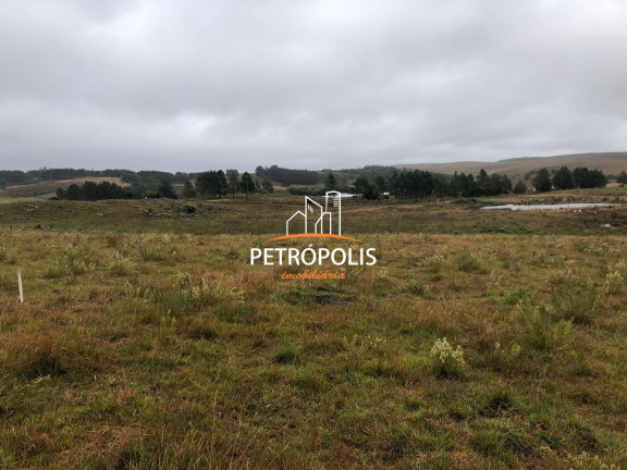 Imagem Terreno à Venda, 20.000 m² em área Rural De Caxias Do Sul - Caxias Do Sul