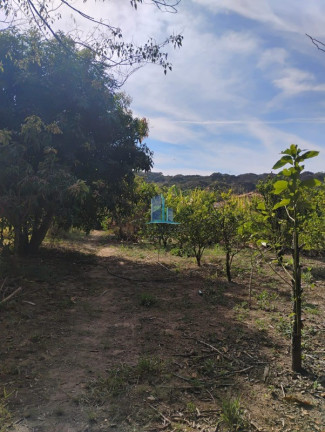 Imagem Imóvel com 3 Quartos à Venda, 1.300 m² em Zona Rural - Piracema