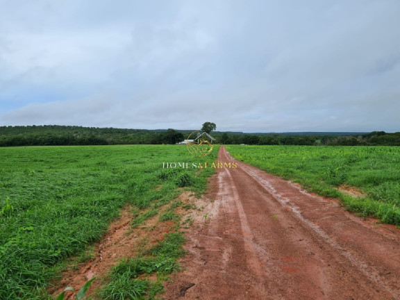 Imagem Imóvel com 7 Quartos à Venda, 1.822 m² em Zona Rural - Primavera Do Leste Imagem Imóvel com 7 Quartos à Venda, 1.822 m² em Zona Rural - Primavera Do Leste