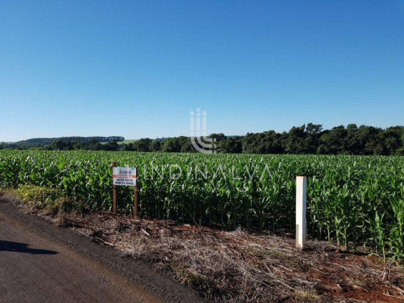 Fazenda à Venda, 10.649 m² em Cognópolis - Foz Do Iguacu