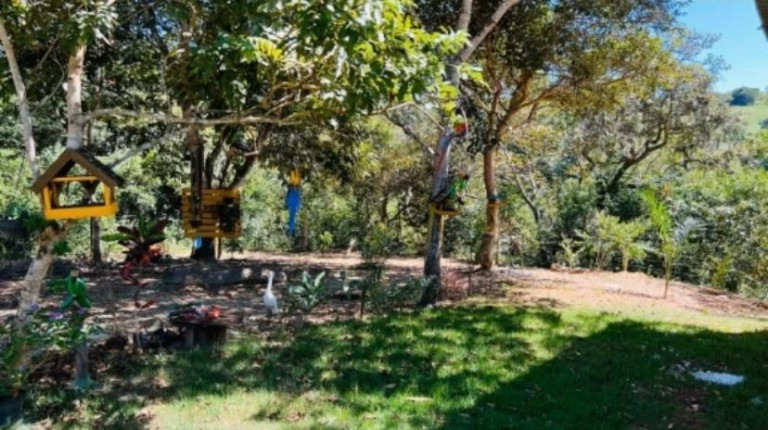 Imagem Imóvel com 2 Quartos à Venda, 1.000 m² em área Rural De Luziânia - Luziânia Imagem Imóvel com 2 Quartos à Venda, 1.000 m² em área Rural De Luziânia - Luziânia