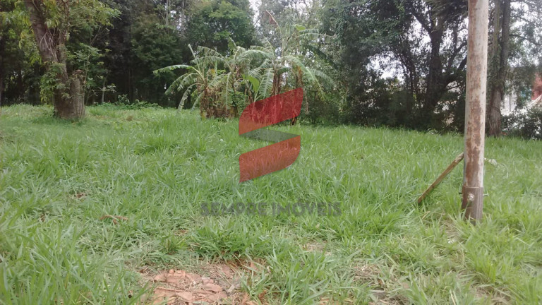 Imagem Terreno à Venda, 3.125 m² em Cajuru - Curitiba