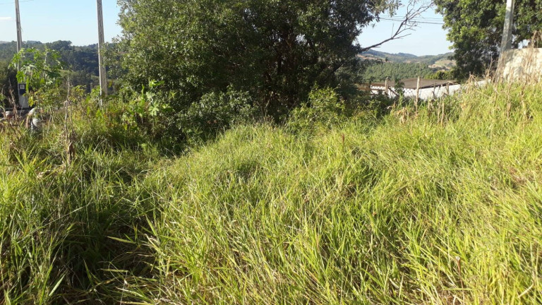 Imagem Terreno à Venda, 1.010 m² em Poço - Piedade Imagem Terreno à Venda, 1.010 m² em Poço - Piedade