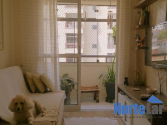 Imagem Apartamento com 2 Quartos à Venda, 52 m² em Parque Mandaqui - São Paulo